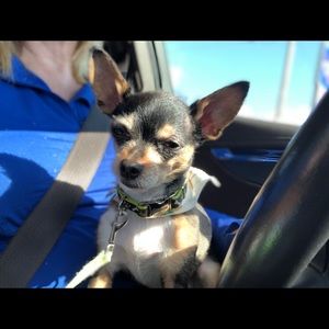 Meet your Posher, Melissa